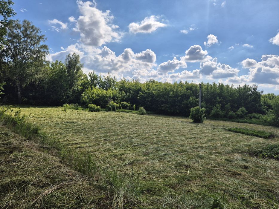 Продам сіно можу відправити поштою .