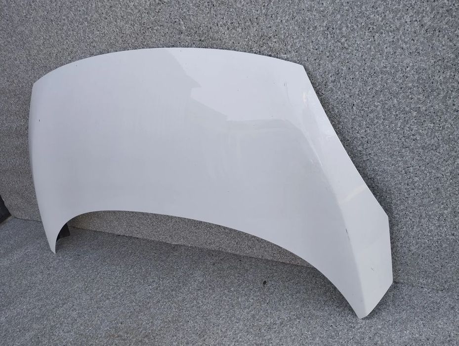 renault scenic iii lift 12-16r maska