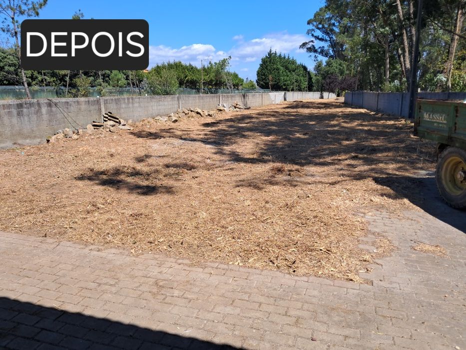 Limpeza trator e capinadeira