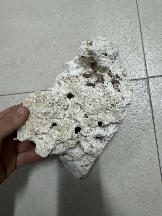 Pedra calcaria pata aquario