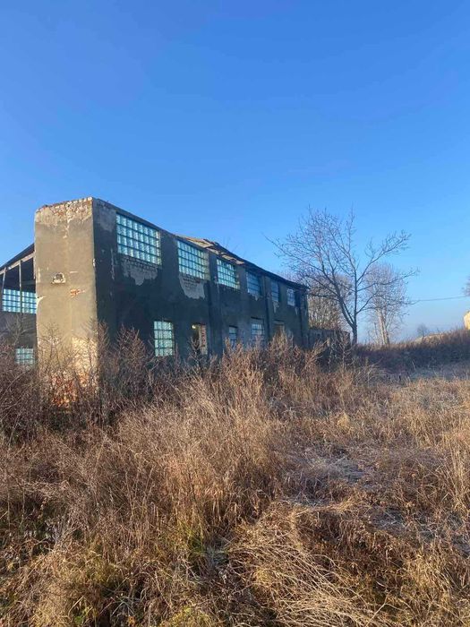 Нежитлові приміщення (ферма)