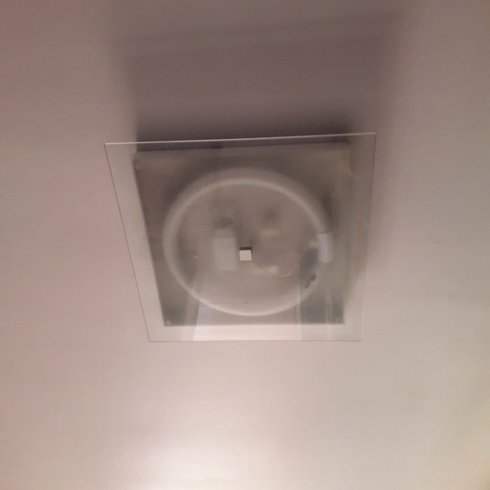 Circular fluorescent ceiling lamp424125719915407361