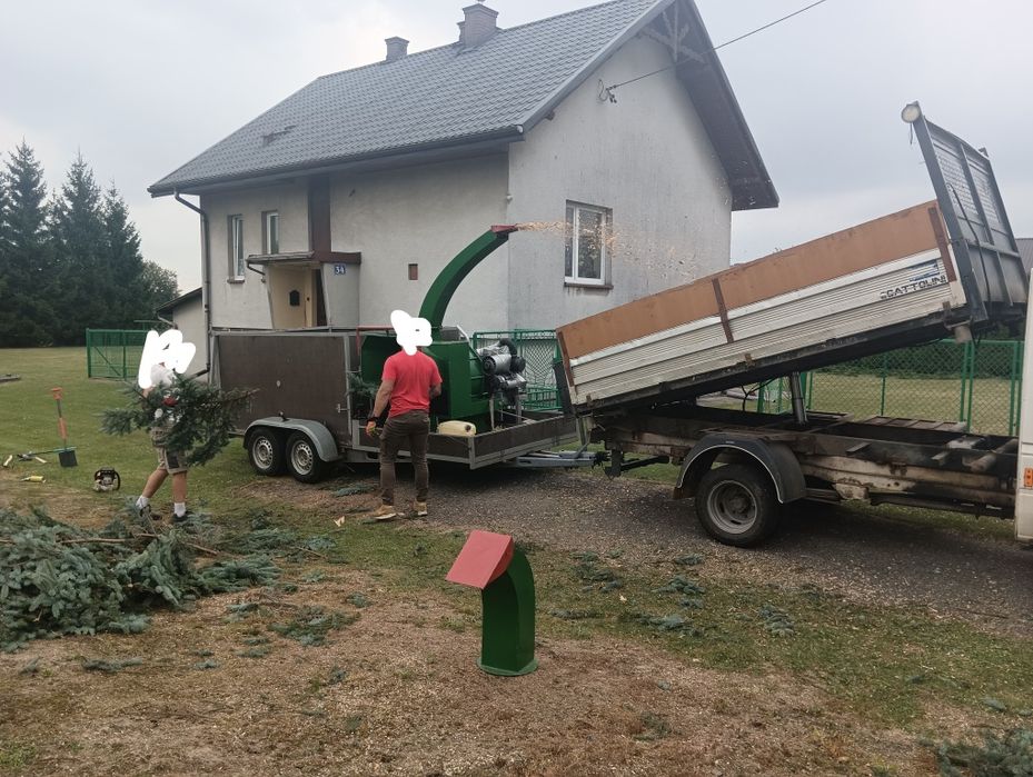 Wycinka drzew Karczowanie Zrębkowanie gałęzi Mulczer leśny Mulczowanie