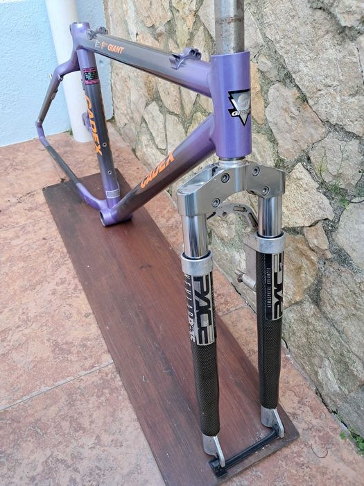 Quadro GIANT Cadex CFM 1