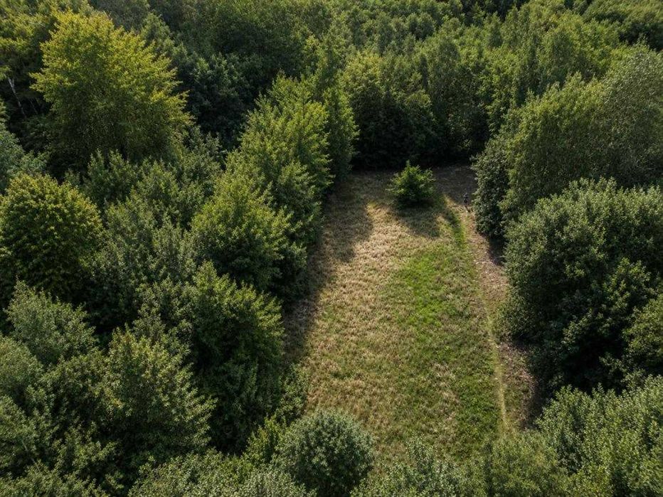 Продається земельна ділянка в с. Липники. Загальна площа 10 сотих.