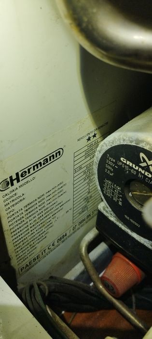 Котел газовый hermann thesi