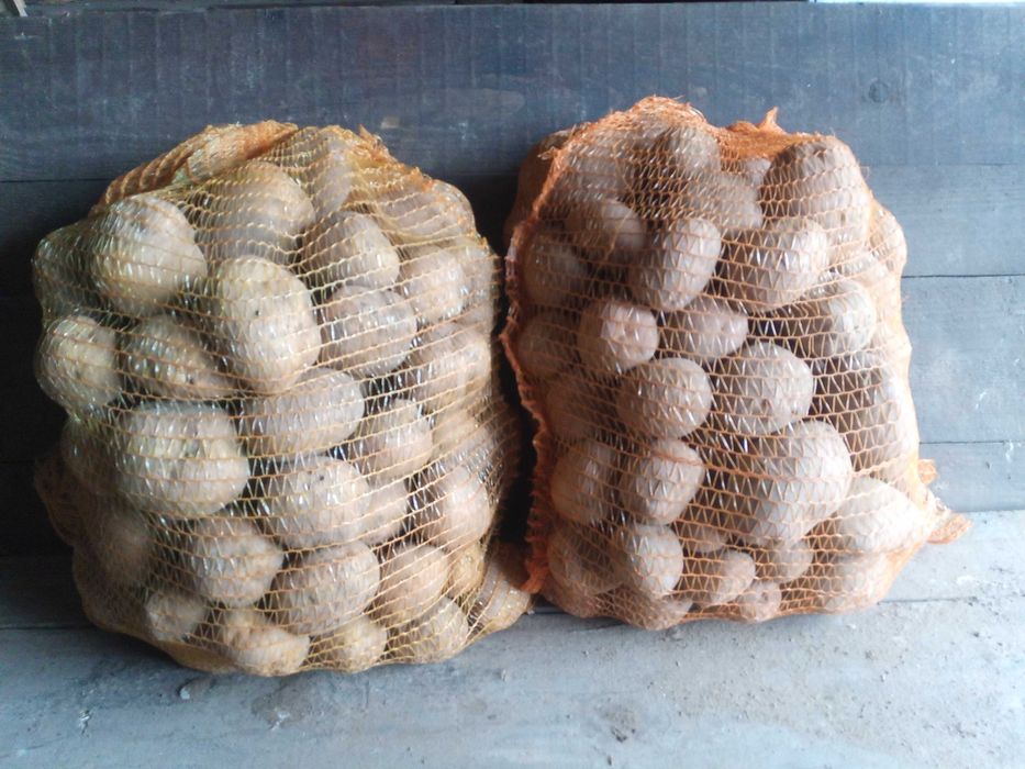 ziemniaki jadalne Vineta i Bellarosa od rolnika