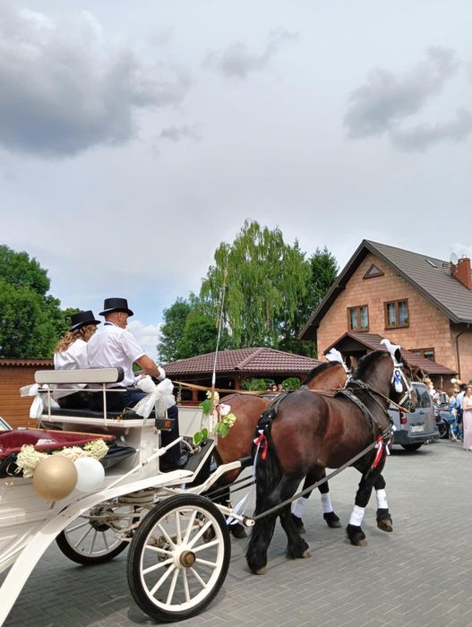 Dodatki ślubne . Bryczka do ślubu
