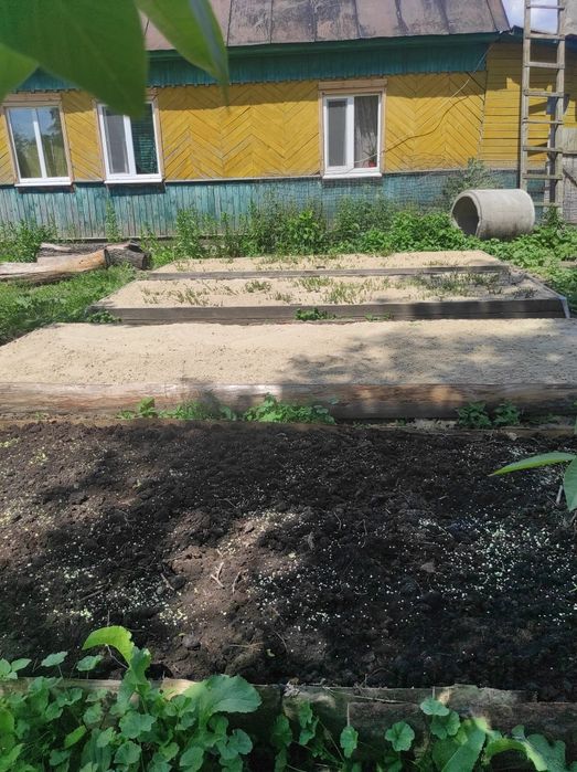 Продається будинок в с. Білокоровичі — 35 соток землі, плодовий сад