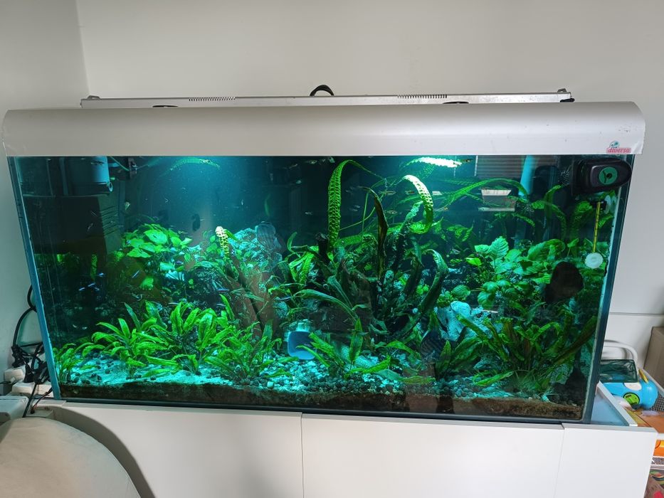 Sprzedam akwarium 500 l