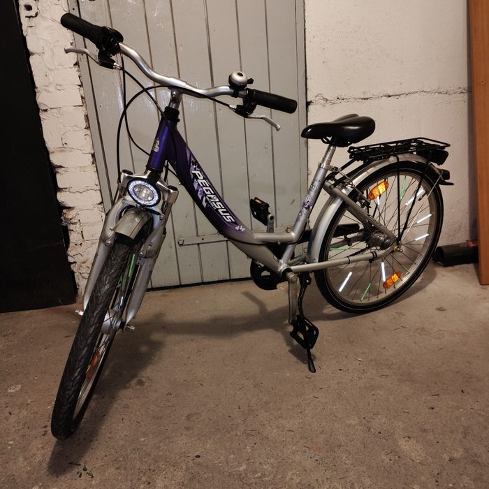 Rower Pegasus aluminiowy