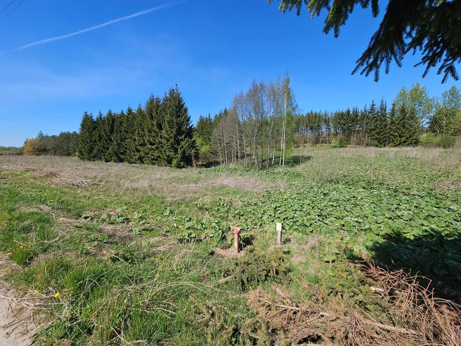 Działka Gąski, Warmińsko-Mazurskie