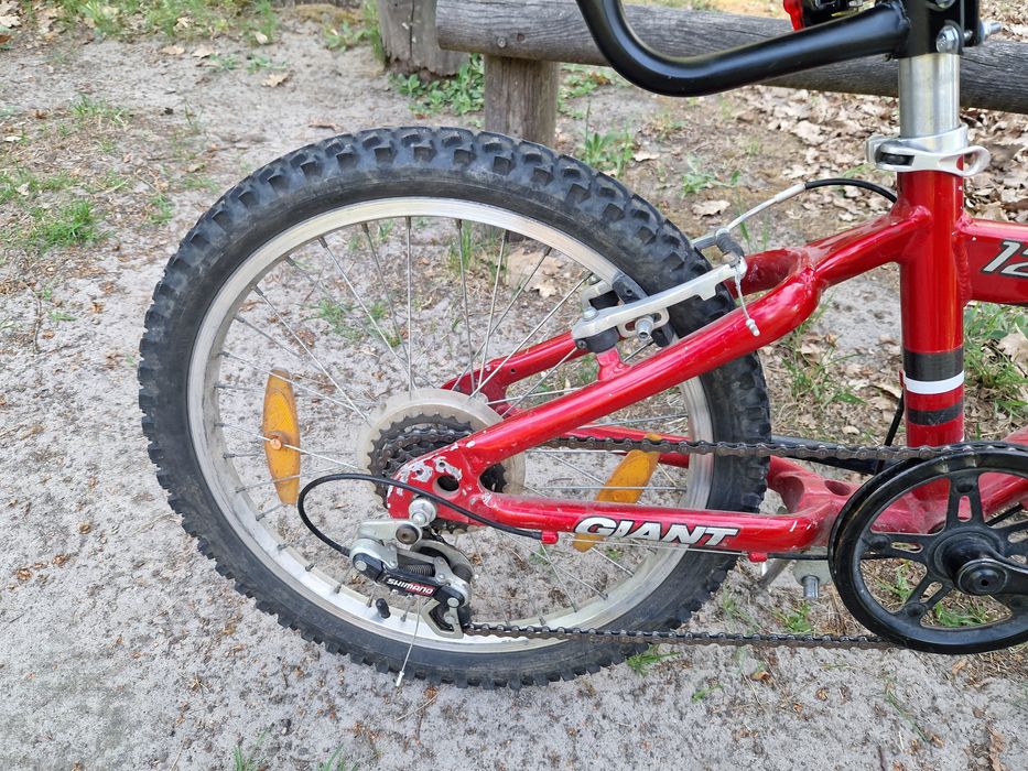 Rower dziecięcy Giant 20"