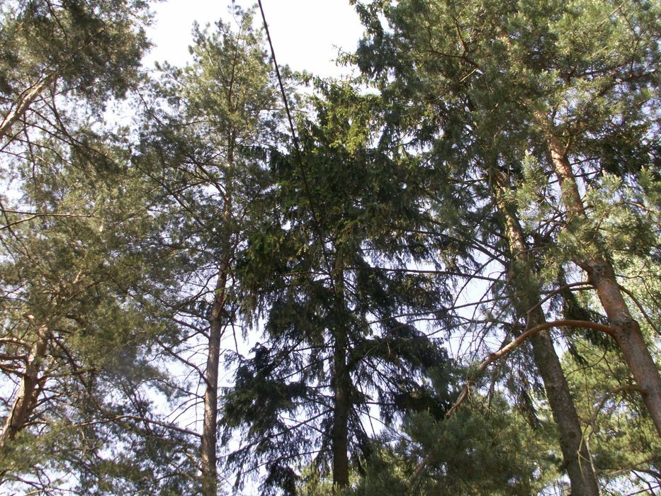 Do sprzedania działka budowlana