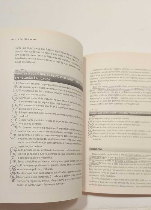 Liderança Inteligente, Criar a paixão pela mudança - Com sublinhados