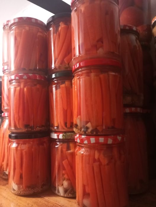 Kiszona marchewka, naturalne kiszonki