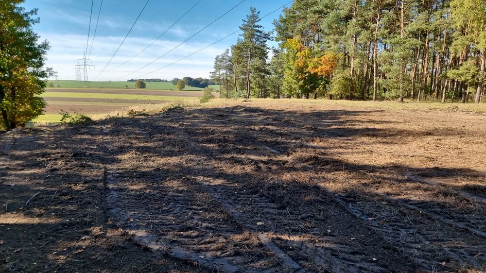 Mulczowanie Wycinka drzew Frezowanie Karczowanie Mulczer Leśny Wgłębny
