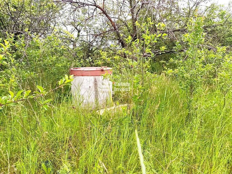 У продажу дачна ділянка 6 соток по вул. Марії Кисляк