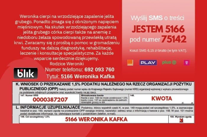 Parowar elektryczny hoffen gotowanie na parze