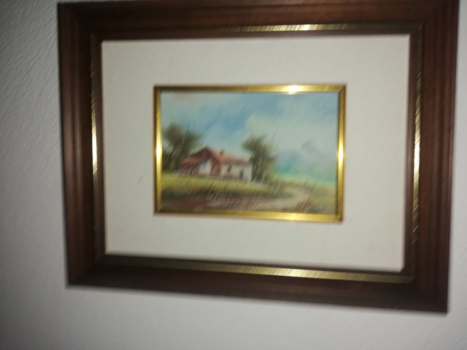 Bibloes em bom estado