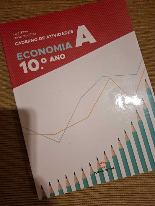 cadernos de atividades 10º ano - escritos - portes grátis