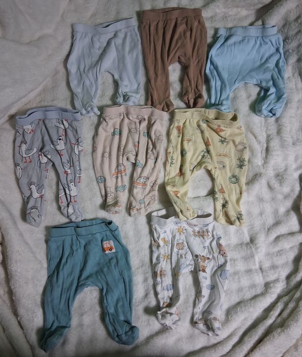 Półśpiochy Niemowlęce  62