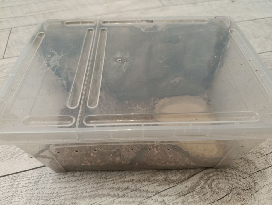 Terrarium Faunabox dla weża/gada