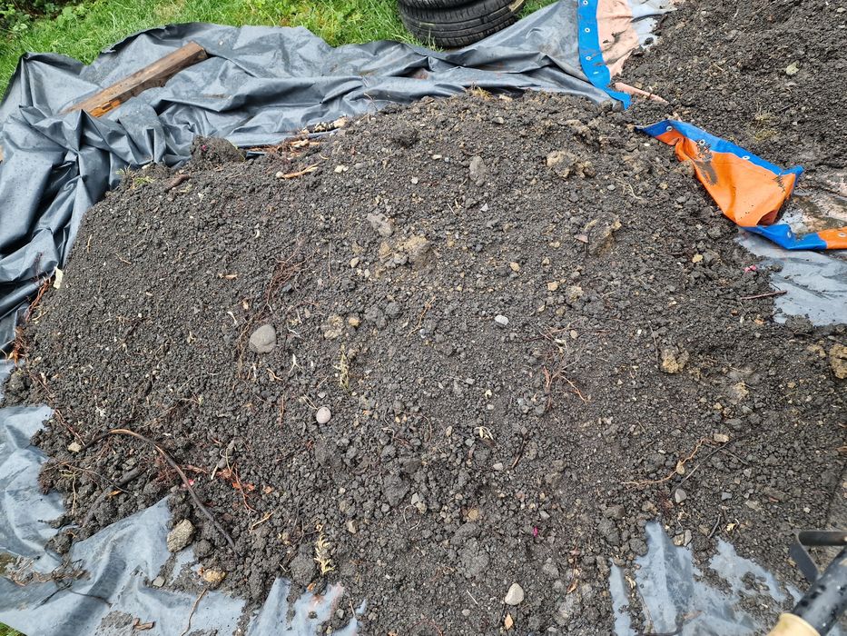 Ziemia wierchowaka za darmo