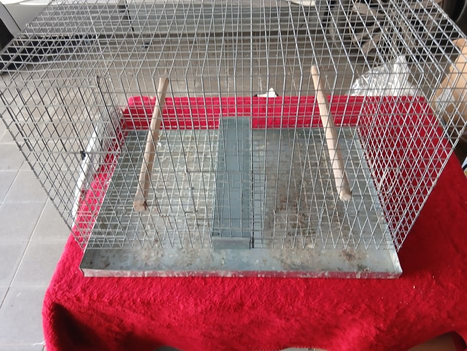 Gaiola de criação