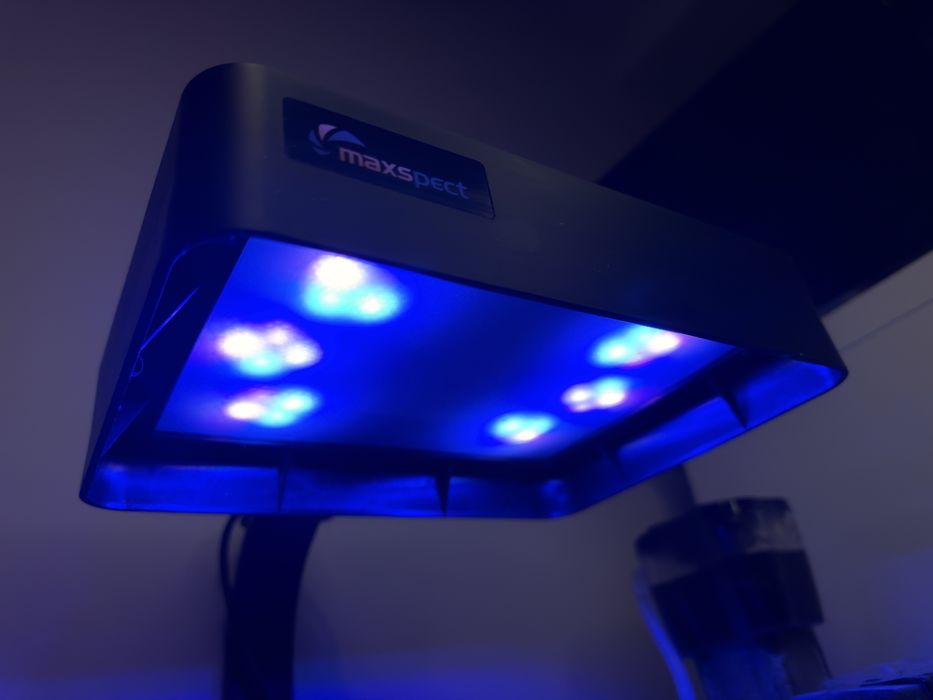 Maxspect Jump Light MJ-L165 Blue lampa oświetlenie LED 65W