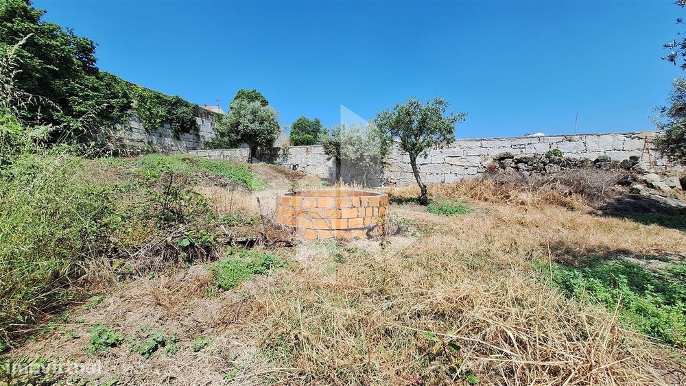 Terreno Rústico  Venda em Lajeosa do Dão,Tondela — Lajeosa do Dão, Viseu