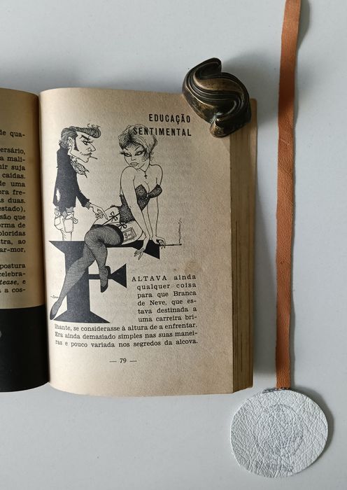 Branca de neve e os 700 anões, José Vilhena