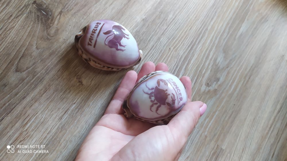 Морські ракушки колекційні тигрові