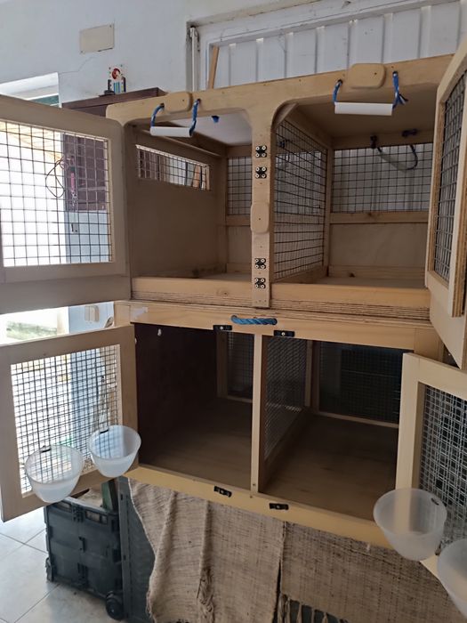 Transportadoras para cães pequenos, gatos ou outros animais pequenos.