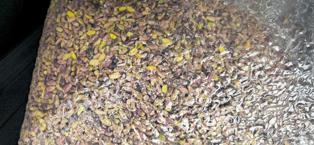 Pistacja cała 10kg