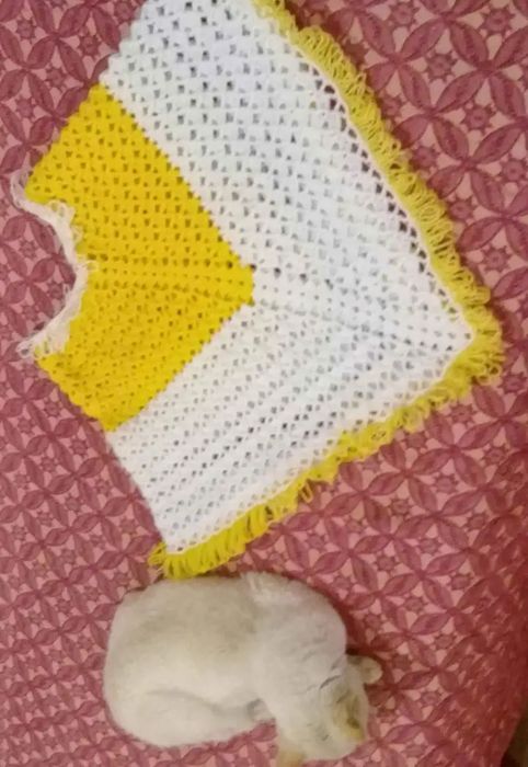 Ponchos xailes novos. Lenços