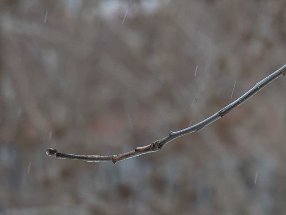 Panasonic DC-TZ99 Lumix