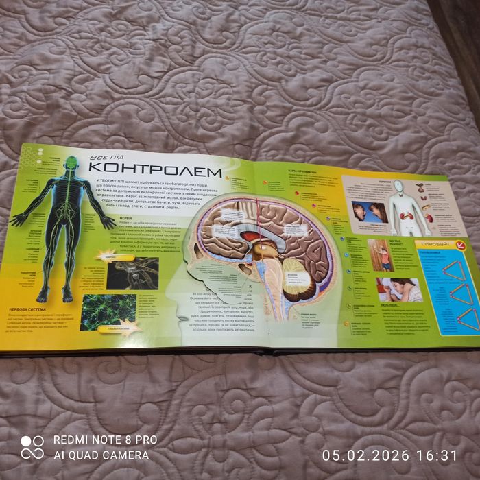 Дитяча пізнавальна література  для дітей молодшого шкільного віку.