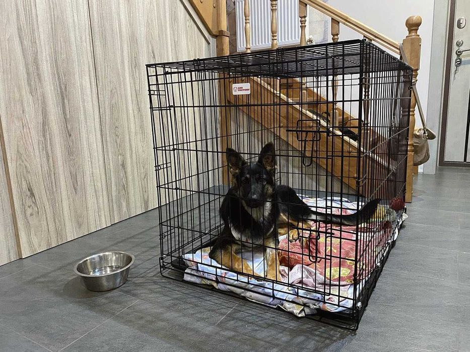 Клітка клетка, переноска домик место манеж для собак кошек щенка котят