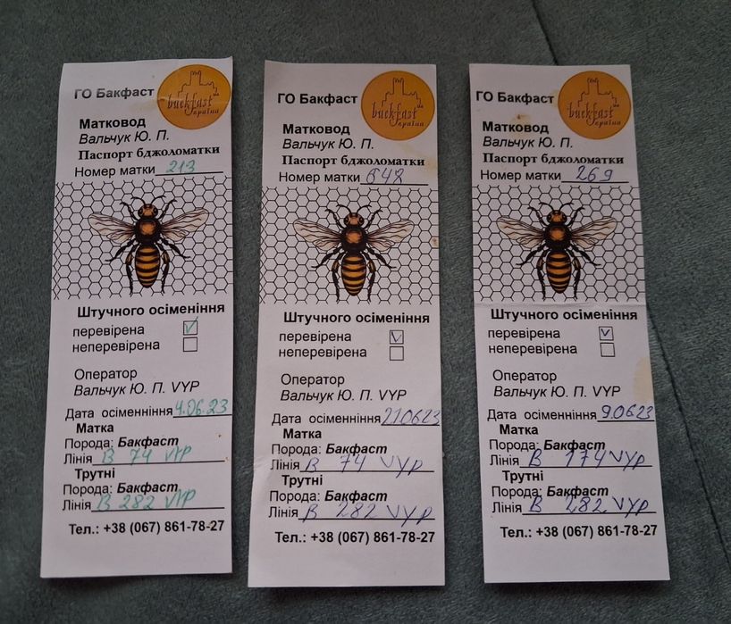 Бджолопакети, бджолосімї на рамку Рут (230). Бджоломатки.