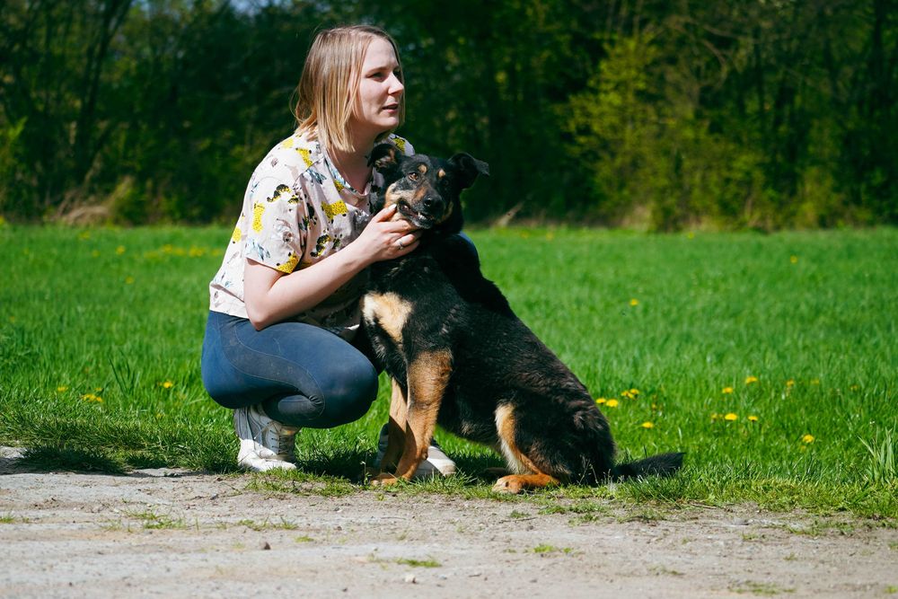 Dili - śliczna suczka szuka domu