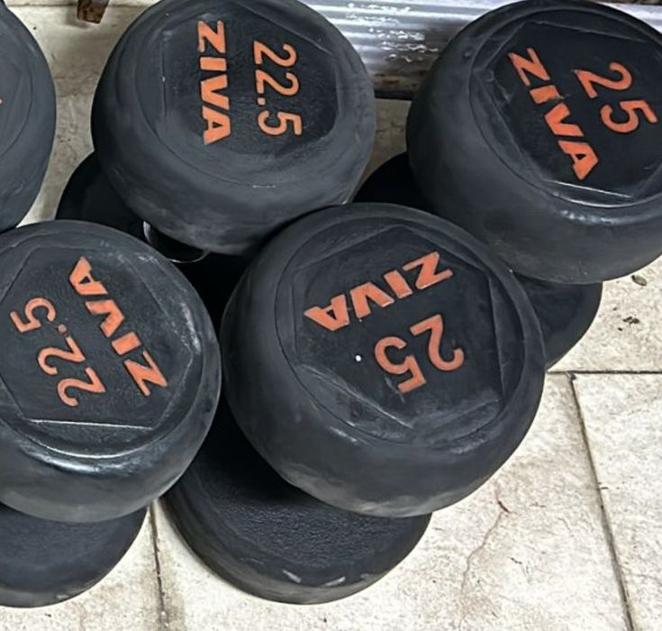 Passadeira Eléctrica Squat Bumpers Halteres
