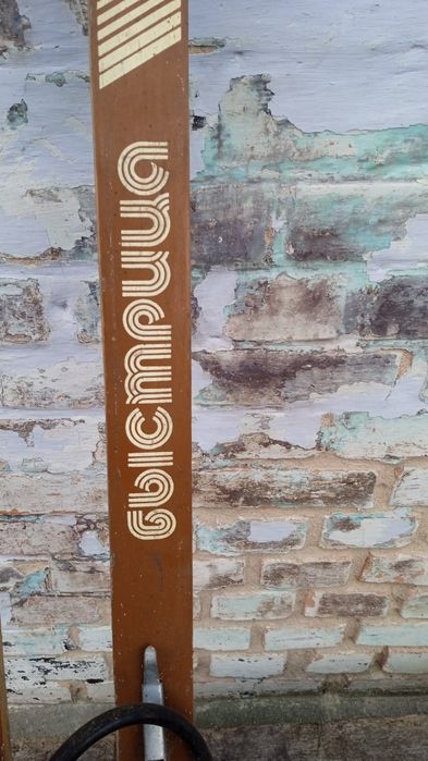 Лыжи Быстрица...