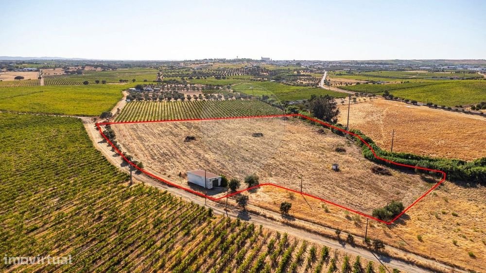 Terreno  para venda — Reguengos de Monsaraz, Évora