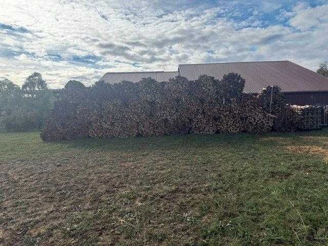 Lenha de alta qualidade