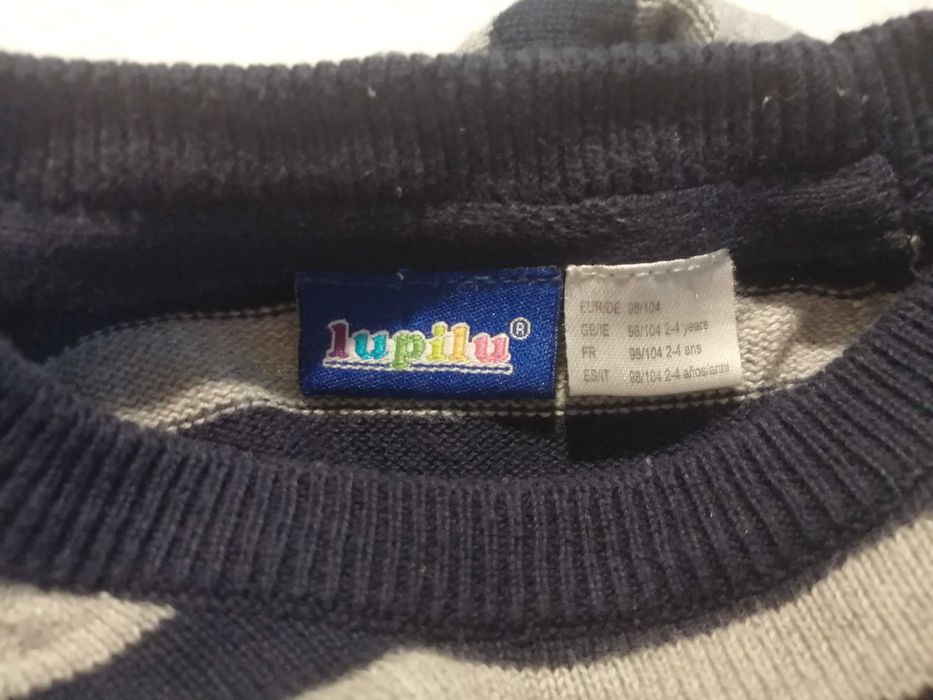 Bluza chłopięca, długi rękaw, Lupilu, 98-104, Paski (Odzież)