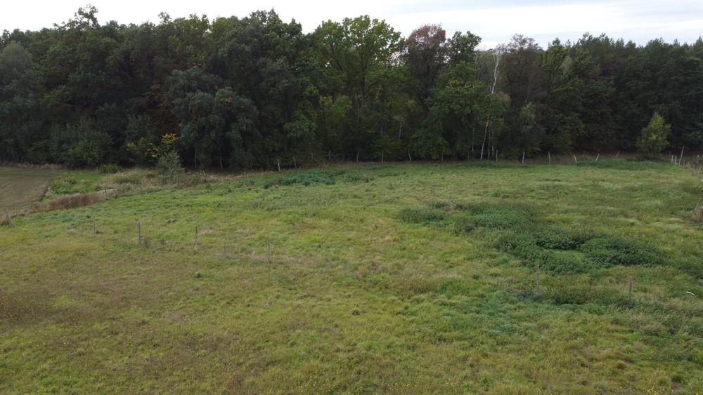 Przemocze | Działka z WZ na dom | Prąd i gaz
Dz