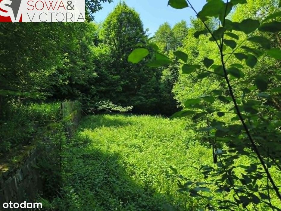 Dom bez sąsiedztwa , działka  9300 m 2