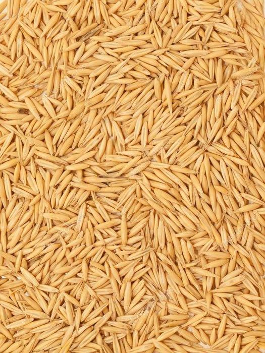 pszenica owies żyto kukurydza jęczmień ziemniaki transport gratis