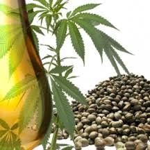 олія конопляна 250мл ПЕРШОГО ПРЯМОГО холодного віджиму